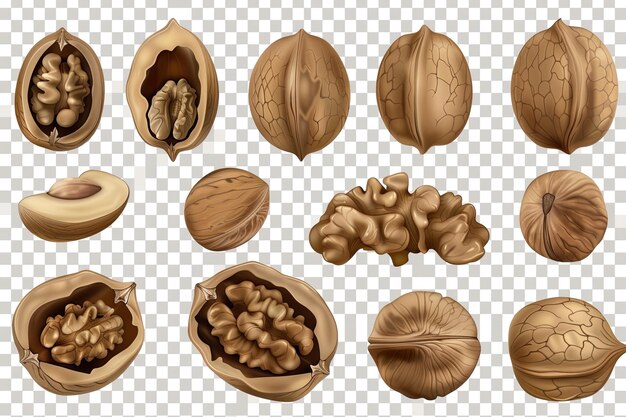 Photo collection set of walnuts isolated on transparent or white background png