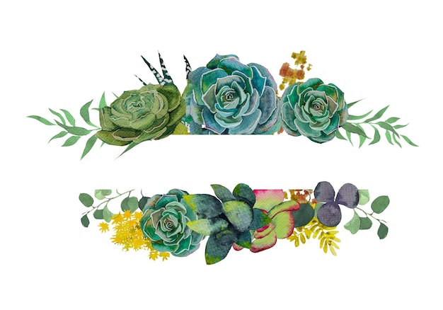 A collection of stylish watercolor succulentsWatercolor Set of succulents