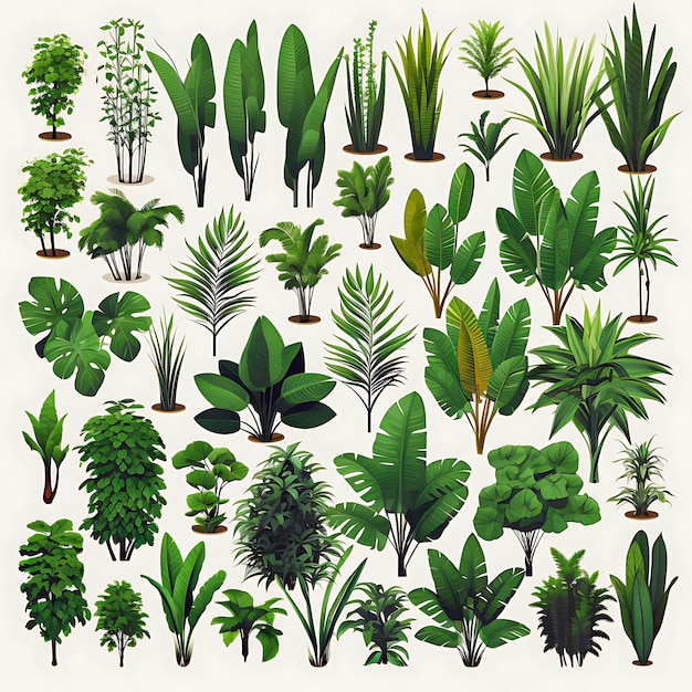 Collection of tropical palm leaves