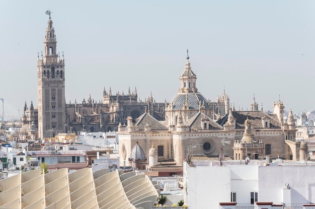 Collegiate Church of the Divine Savior Seville Cathedral and Giralda Seville Spain