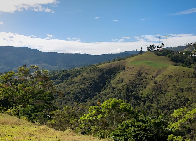 Colombian nature wide angle shot of trees and forests on a mountain during daytime