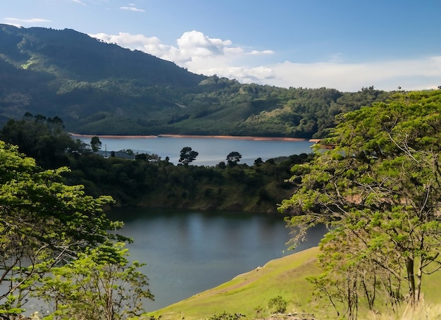 Colombian nature wide angle shot of trees and forests on a mountain during daytime