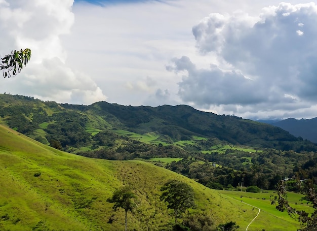 Colombian nature wide angle shot of trees and forests on a mountain during daytime