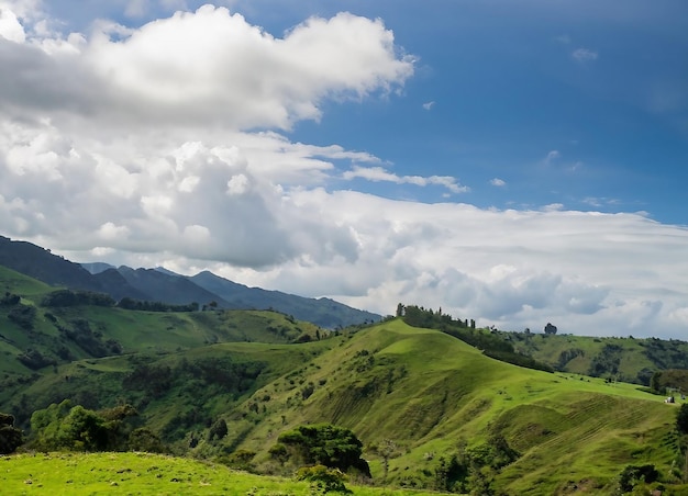 Colombian nature wide angle shot of trees and forests on a mountain during daytime