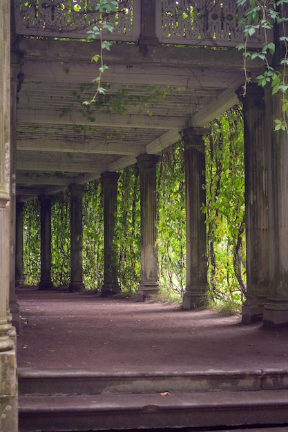 Photo colonnade in the park selective focus