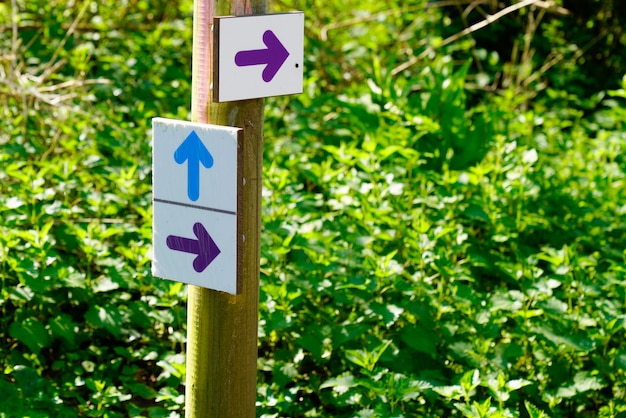 Color arrow markup of hiking trail path