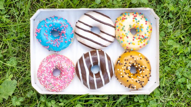 Color donuts in a box on a green grass. Top view