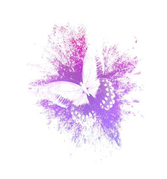 Color paint splashes with butterfly isolated on a white background. print for the designer