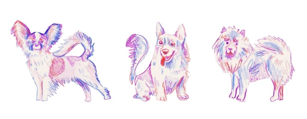 Color pencil dog drawing set cute puppy sketch fluffy companion collection vet art canine pet print