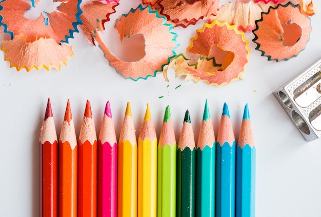 Color pencils, shavings and a sharpener on a white. School accessories