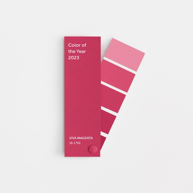 Photo color swatches with color of the year 2023 viva magenta color trend palette top view flat lay