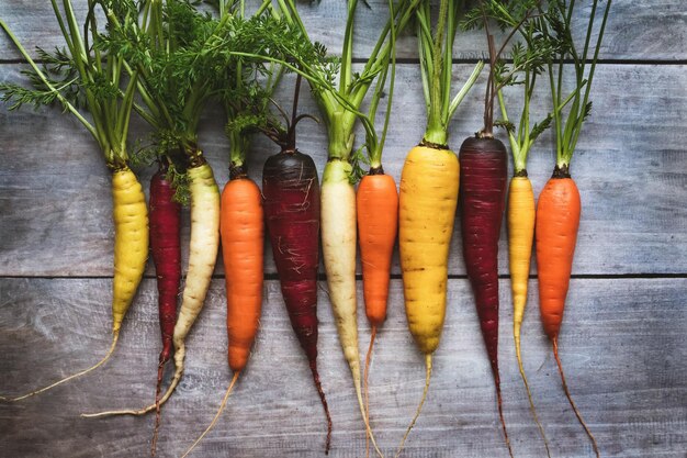 Colored carrots on wooden table rainbow carrots in a row overhead flat lay