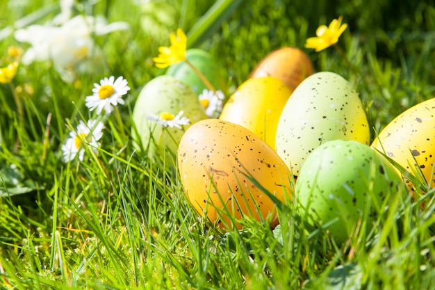 Colored Easter eggs hidden in flowers and grass