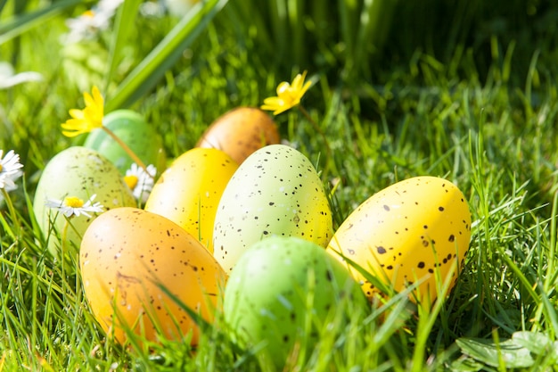 Colored Easter eggs hidden in flowers and grass