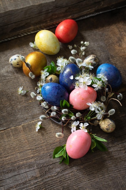 Colored Easter eggs in the nest with spring flowers on a gray wooden background