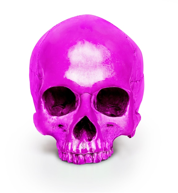 Colored human skull isolated on white background