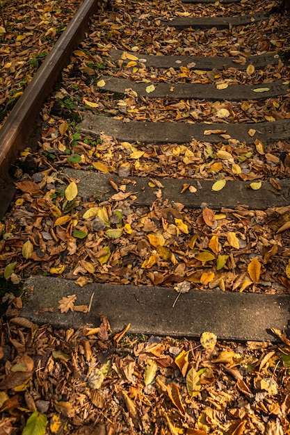 Colored leaves on the railroad. Autumn railway. Warm colors. Fallen dry leaves on the sleepers.