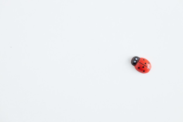 Colored wooden figures in the form of ladybugs on a white background