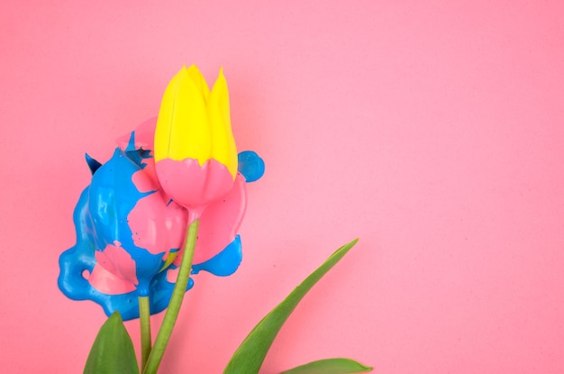 Colorful acrylic and yellow flower tulip flat lay on clear pink background.