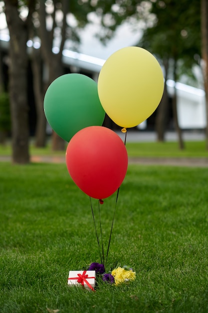 Colorful air balloons and gift box on the grass