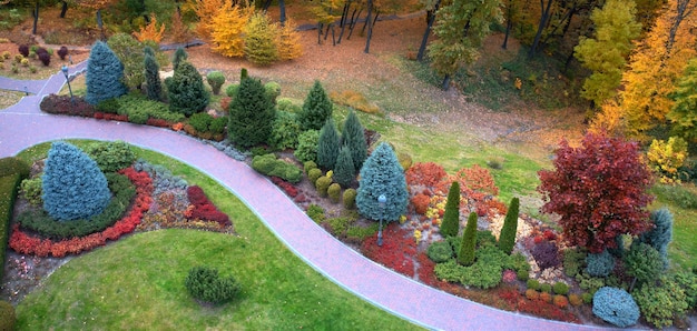 Colorful alley in the autumn arboretum Drone view