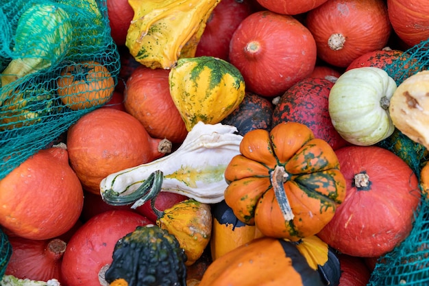 Photo colorful assortment of pumpkins and gourds in a vibrant pile at the farmers market