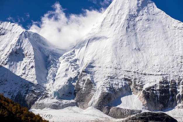 Colorful in autumn forest and snow mountain at Yading nature reserve The last Shangri laxA