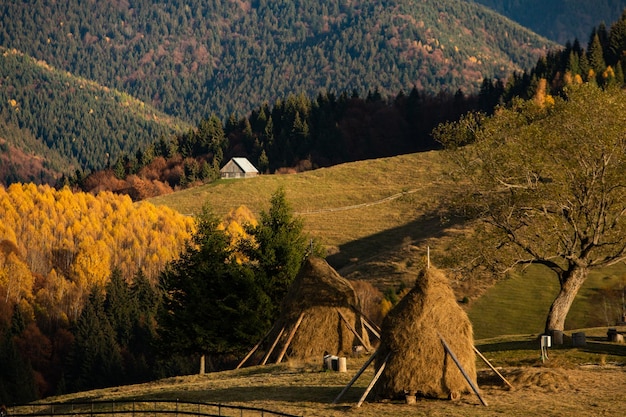 Colorful autumn landscape in the mountain village. Foggy morning in the Carpathian Mountains in Roma