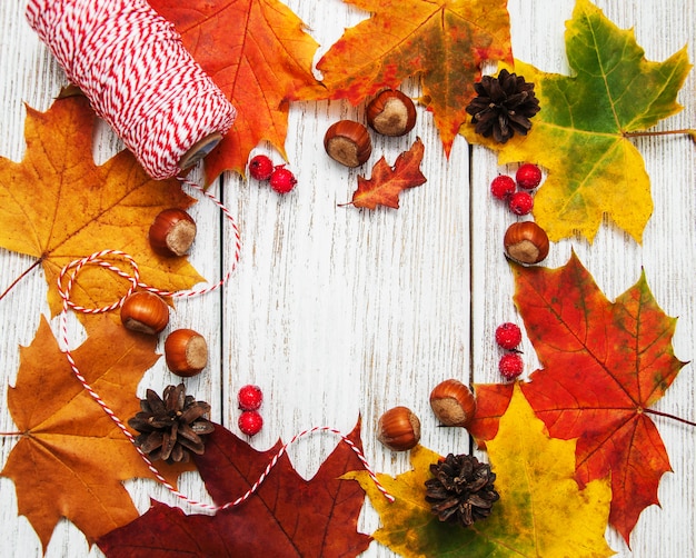 Colorful autumn leaves and hazelnuts