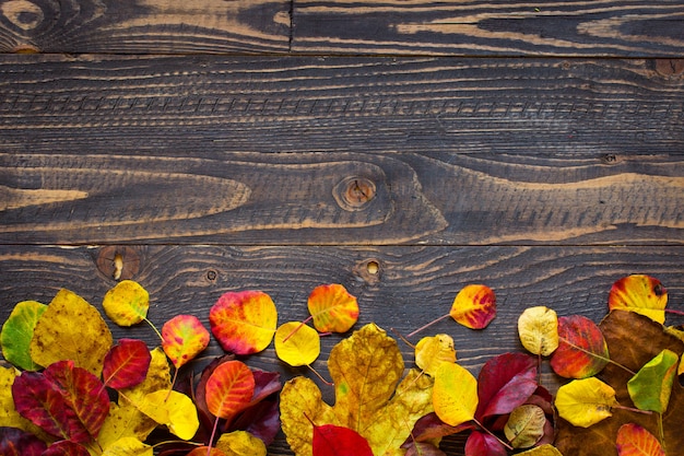 Colorful autumn leaves, over a wooden background