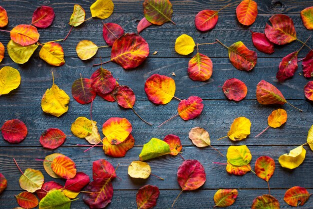 Colorful autumn leaves, over a wooden background