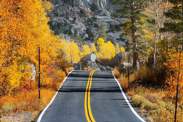 Colorful Autumn scene on countryside road in the forest