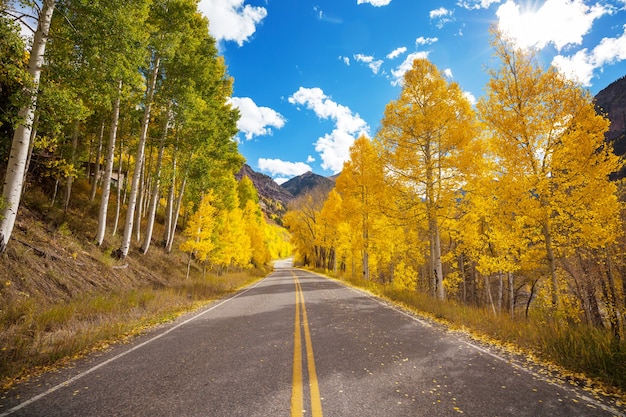 Colorful Autumn scene on countryside road in the sunny morning