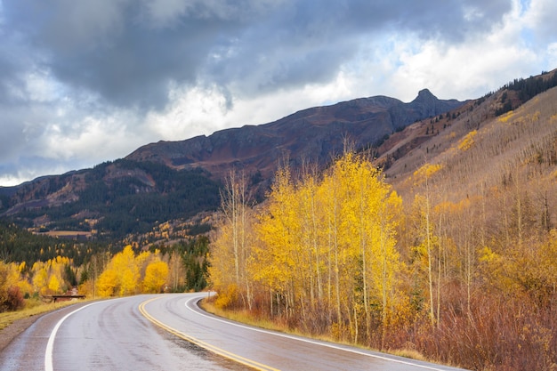 Colorful Autumn scene on countryside road in the sunny morning