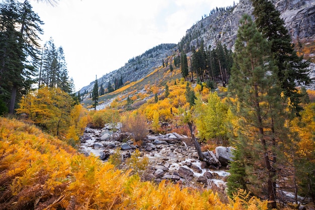 Colorful Autumn season in mountains