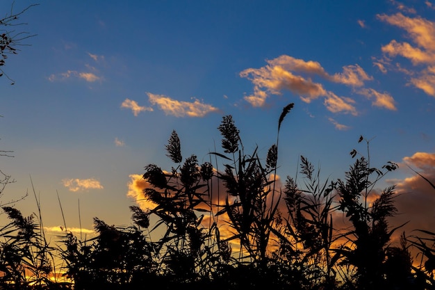 Colorful autumn sunset with sun rays coloring the clouds