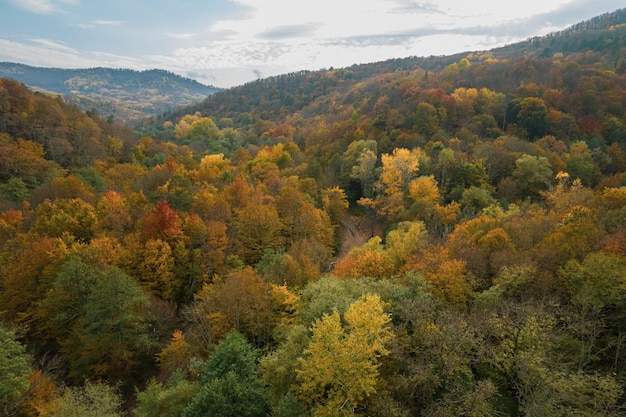 Colorful autumn view of the caucasus mountains great view of the yellow trees