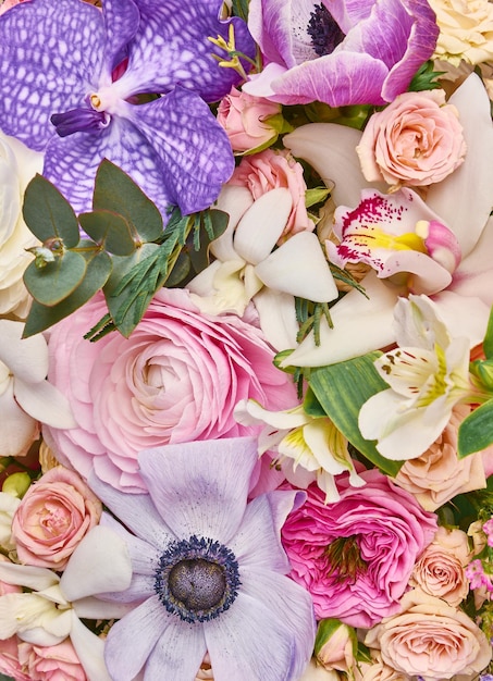 Colorful background of different flowers close up