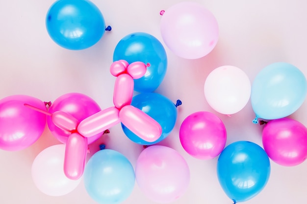 Colorful balloons and balloon dogs on pastel color background. Festive or birthday party concept. Flat lay, top view.