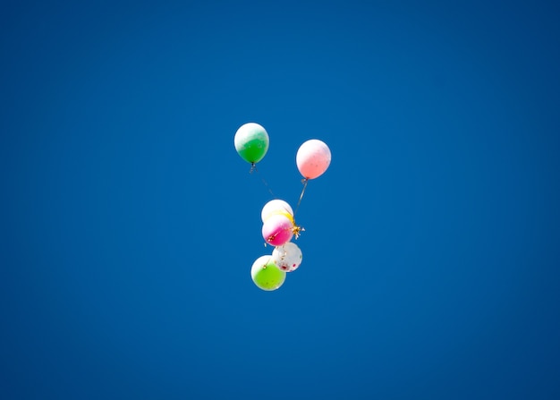 Colorful balloons in the sky