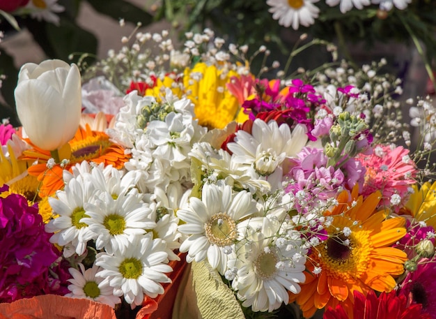 Colorful blooming flowers in vase