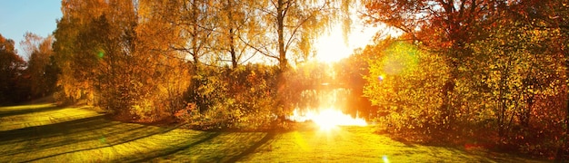 Colorful bright leaves falling in autumnal park