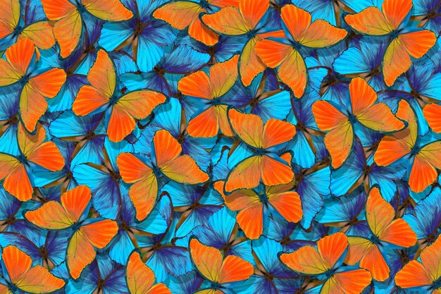 Colorful butterflies are a mosaic of watercolors.