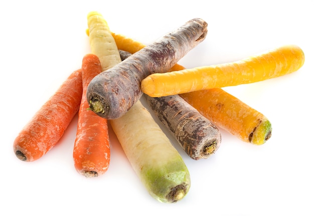 colorful carrot in studio