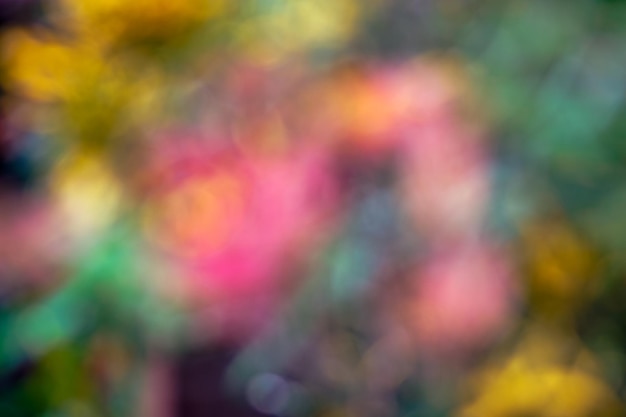 Colorful cherry blossom blur background