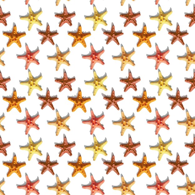 Colorful cute starfish pattern Nautical or marine theme of sea life Bright summer style