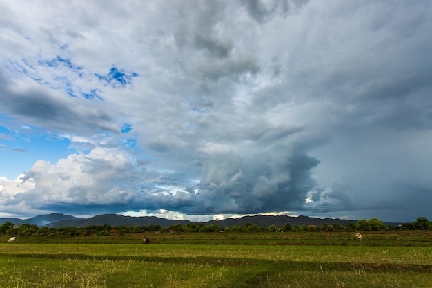 Colorful dramatic sky with cloud at sunsetxA