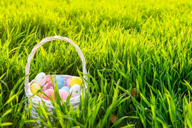 Colorful Easter eggs in a basket on the sunny green meadow