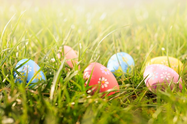 Colorful easter eggs on the sunny green meadow.