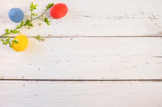 Colorful Easter eggs with spring bloom flowers and green leaves on a white wooden